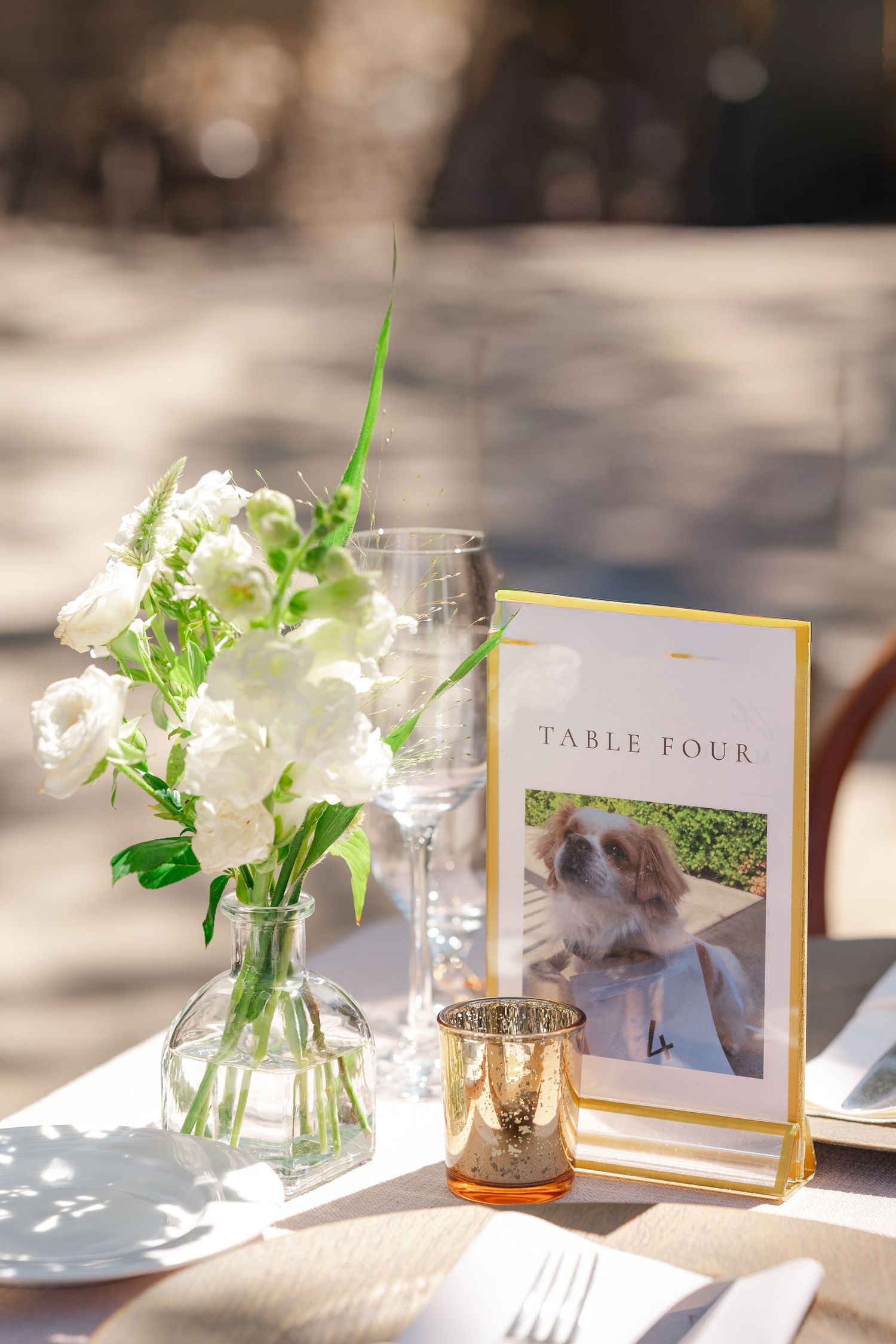 Elegant wedding reception table settings with white floral centerpieces, framed table numbers and soft natural lighting.