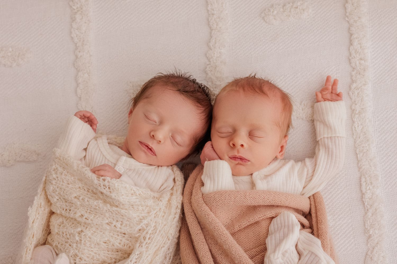 newborn twins photos in Wellington and Porirua