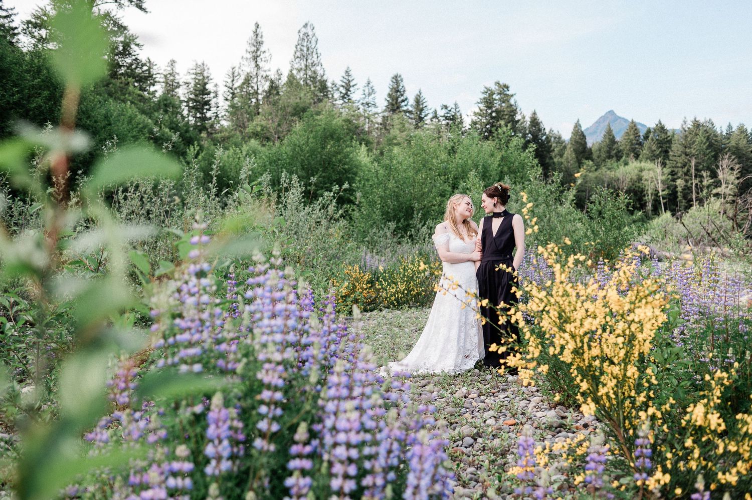 Two brides poss among vibrant purple lupines and yellow wildflowers with evergreen trees in the background. Photo by Pine + Vow