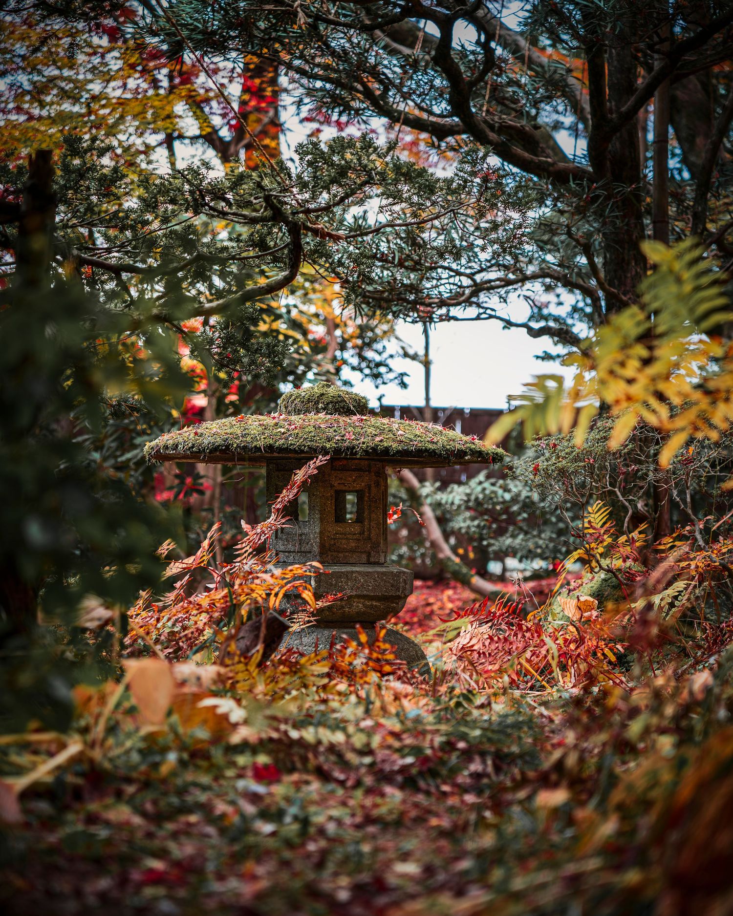 A moss-covered stone lantern surrounded by vibrant autumn foliage in a serene Japanese garden.