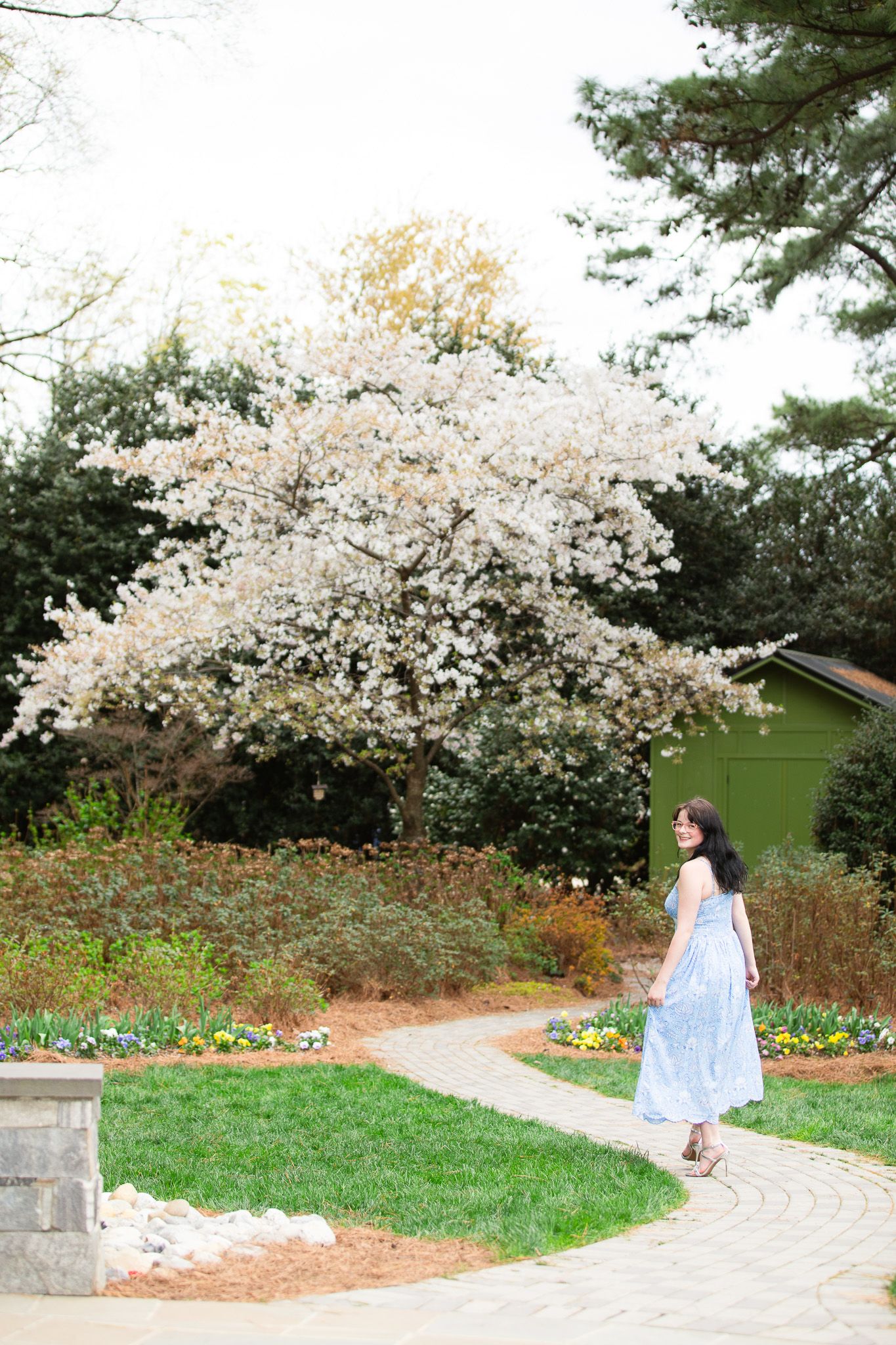 Woman in blue dress walks along garden path near blooming white cherry blossom tree in spring at WRAL Azalea Garden