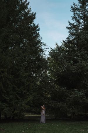 A lone figure stands in a grassy clearing surrounded by tall evergreen trees under a moody blue sky.