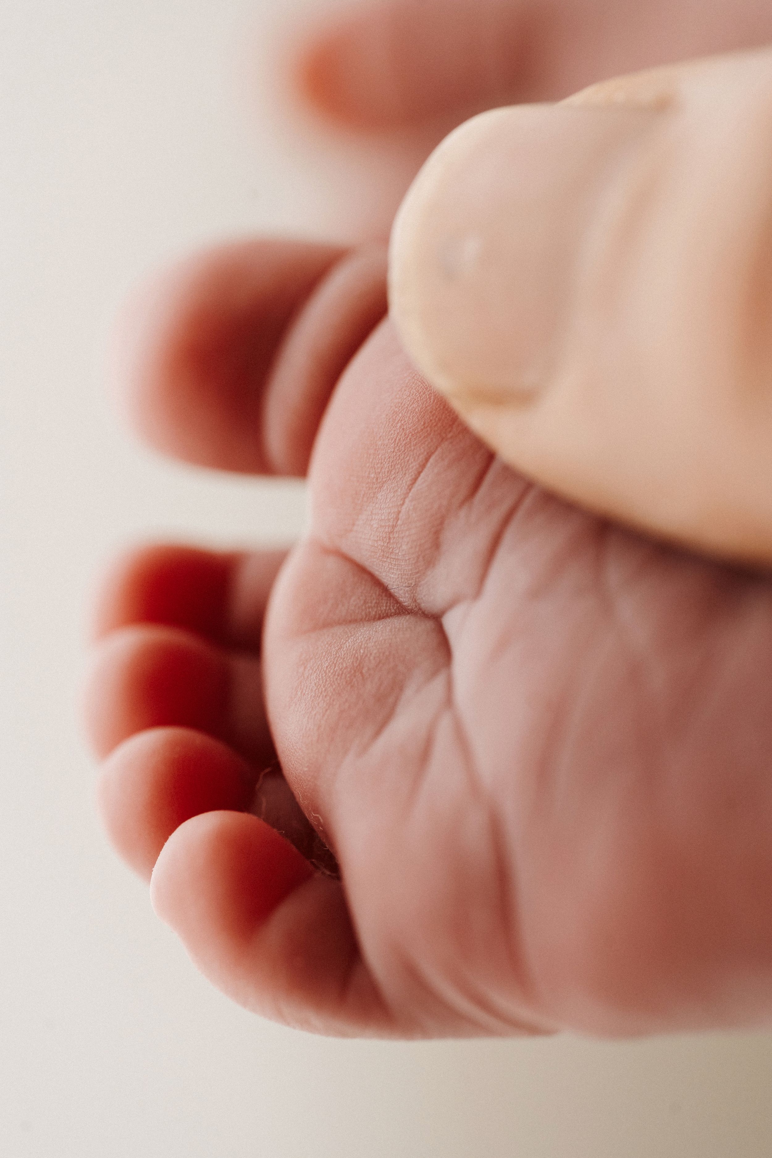 Close-up macro photo of a tiny baby's foot with delicate wrinkles and folds in soft lighting.