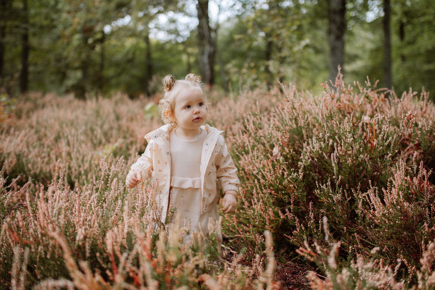Petite fille qui marche dans les bruyères sauvages dans une forêt des yvelines