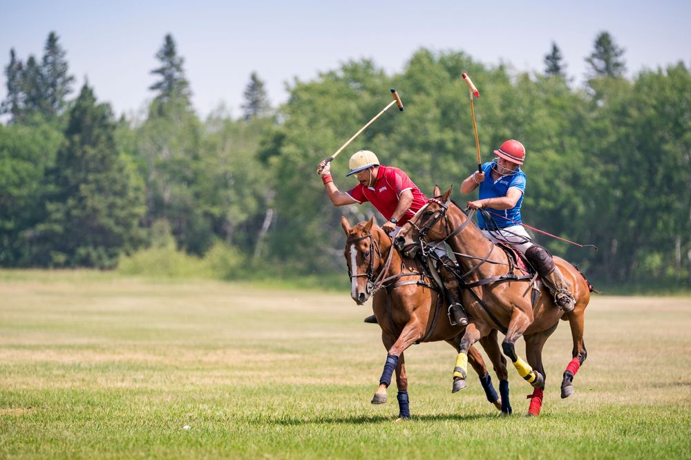 Two polo players on horseback competing for the ball during an intense match on a grassy summer field.