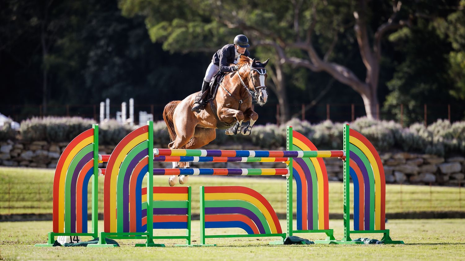 Liam Rutland and Glenara Chartelle M competing in the Silver Championship at the Stonewall Grand Prix. © Simon Scully, 2026.