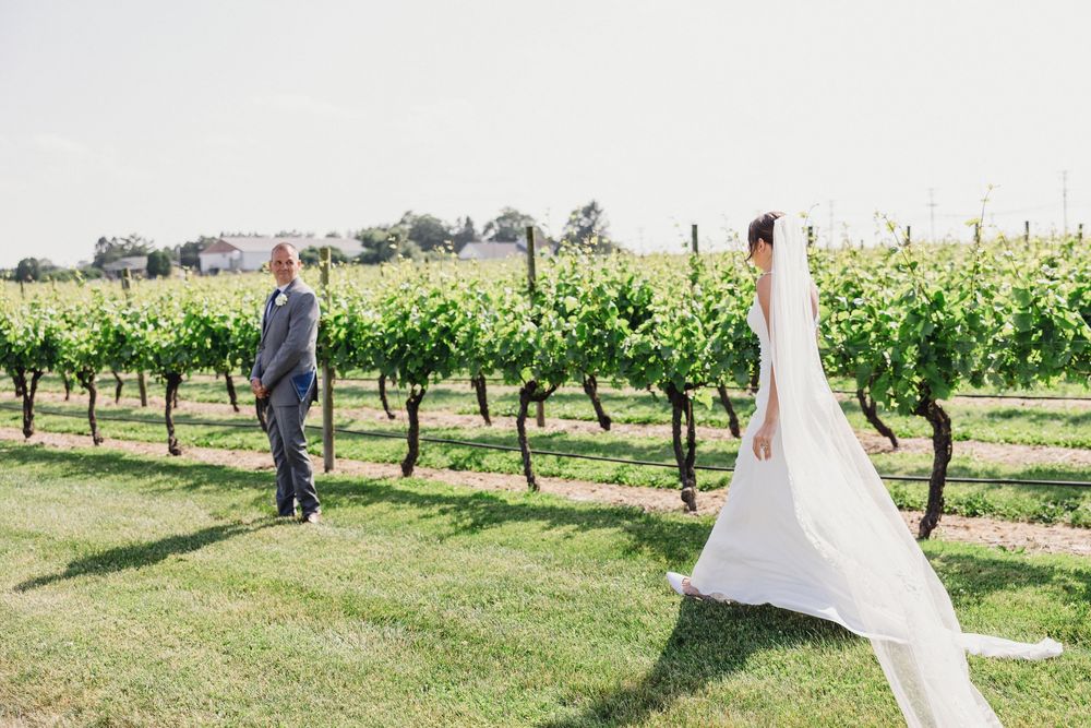 Wedding couple dances in a sunlit vineyard with rows of grapevines stretching into the distance.