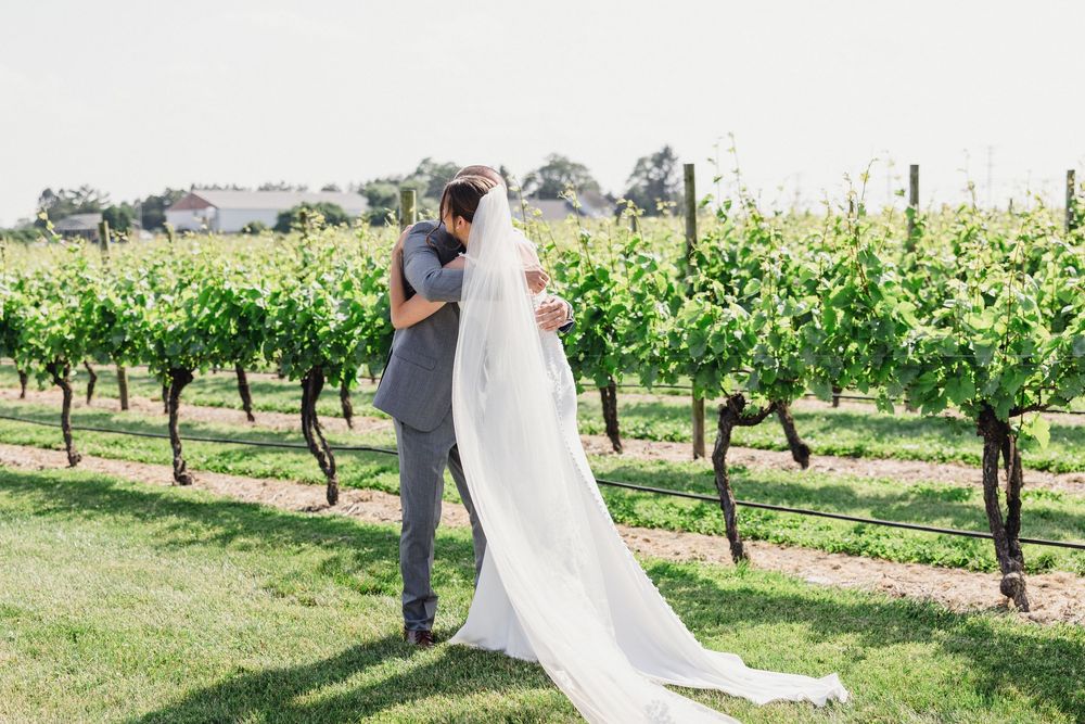 A couple embraces in a vineyard setting with a long flowing white veil.