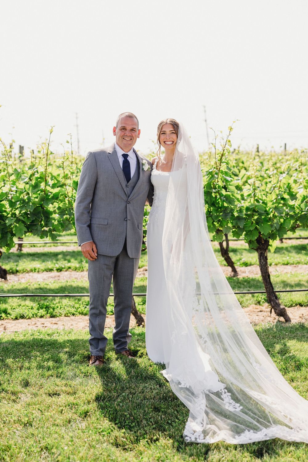 Wedding couple standing in vineyard with long lace veil flowing in spring sunlight.