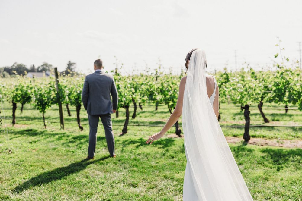 A couple stands apart in a sunlit vineyard with a flowing white veil between them.