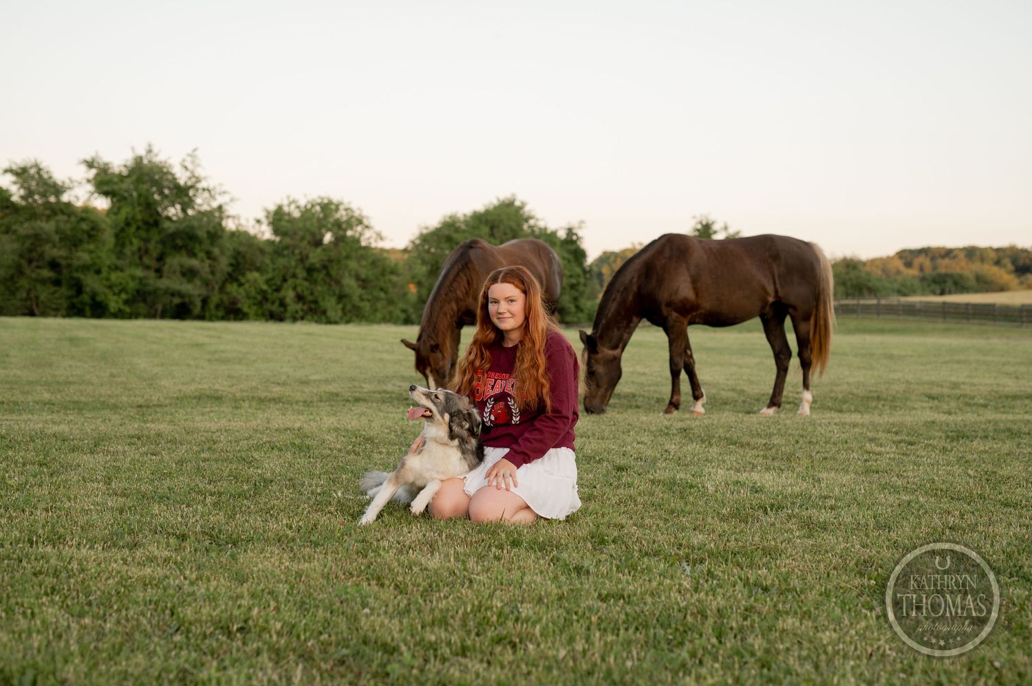 Person in burgundy sweatshirt sits with their dog while horses graze in background.