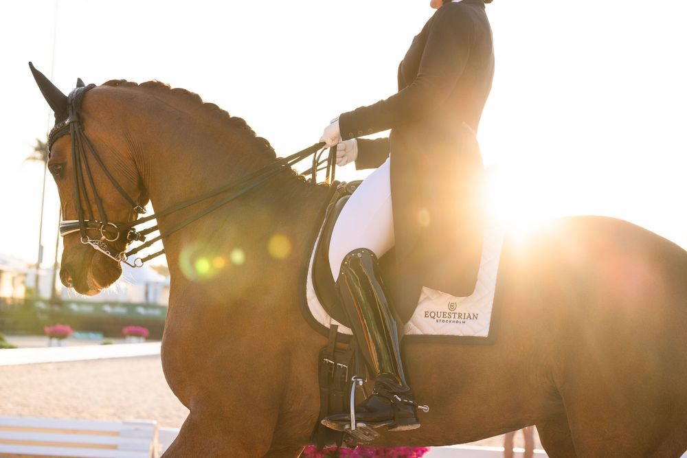 Equestrian rider on horseback silhouetted against golden sunlight during dressage competition at sunset.