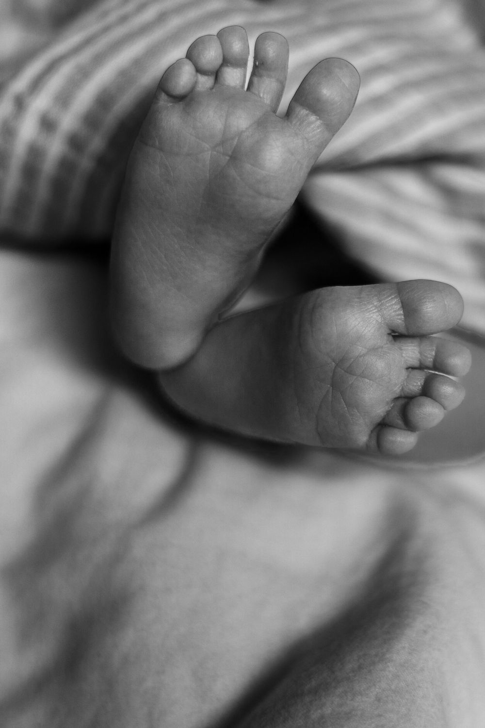 Black and white image of tiny baby feet against soft bedding.