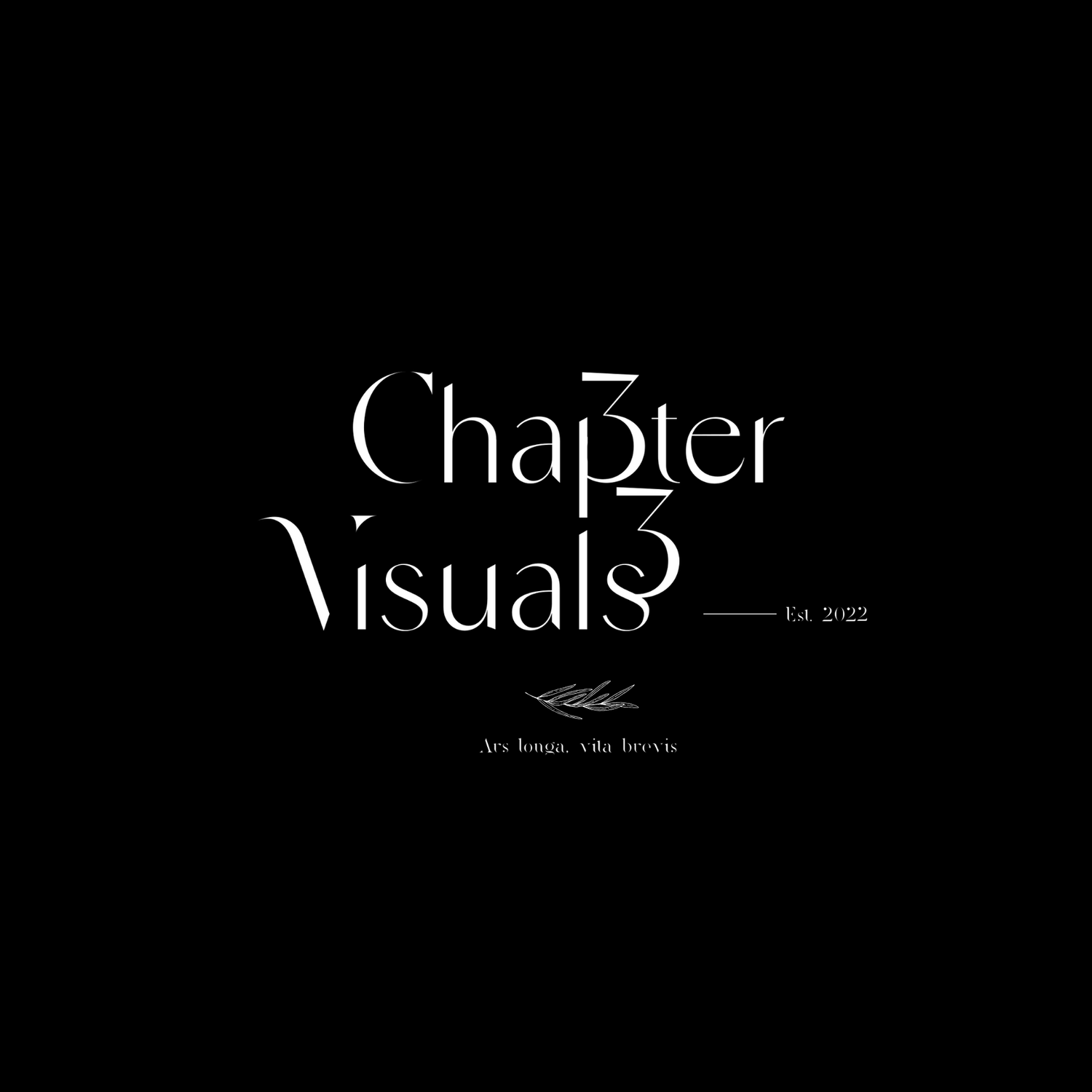 Black background with elegant white text reading 'Chapter Visuals' in a stylized font.