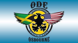 A logo design featuring a black eagle emblem with American flag wings against a blue gradient background.