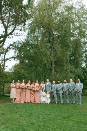 Wedding party stands elegantly posed on grass under a weeping willow tree wearing pink and gray formal attire.
