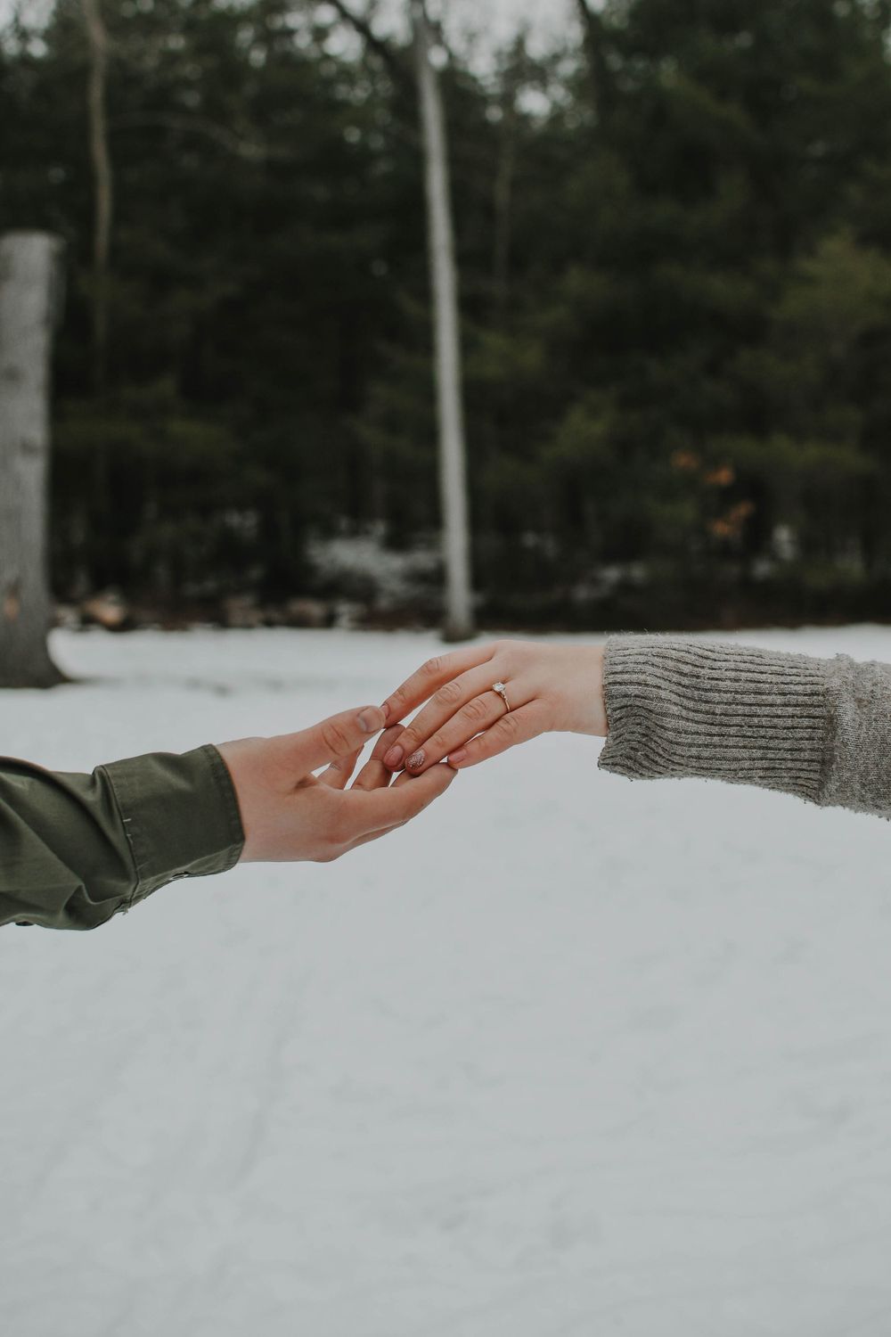 Two hands reaching towards each other against a snowy winter background with trees and a gray sky.