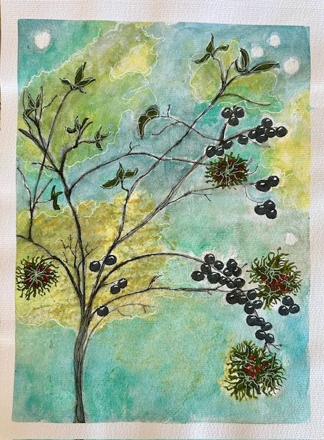 Series of watercolor panels showing trees with dark berries against a dreamy turquoise sky.