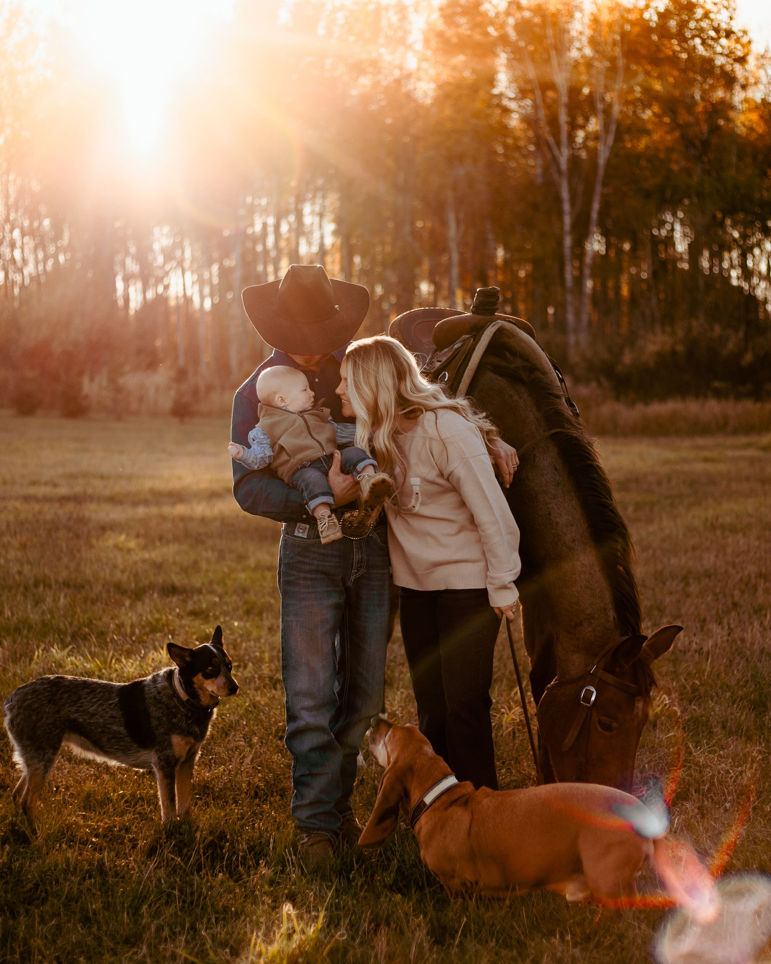 A couple and their dog share tender moments in a sunlit field during golden hour as the sun sets behind trees.