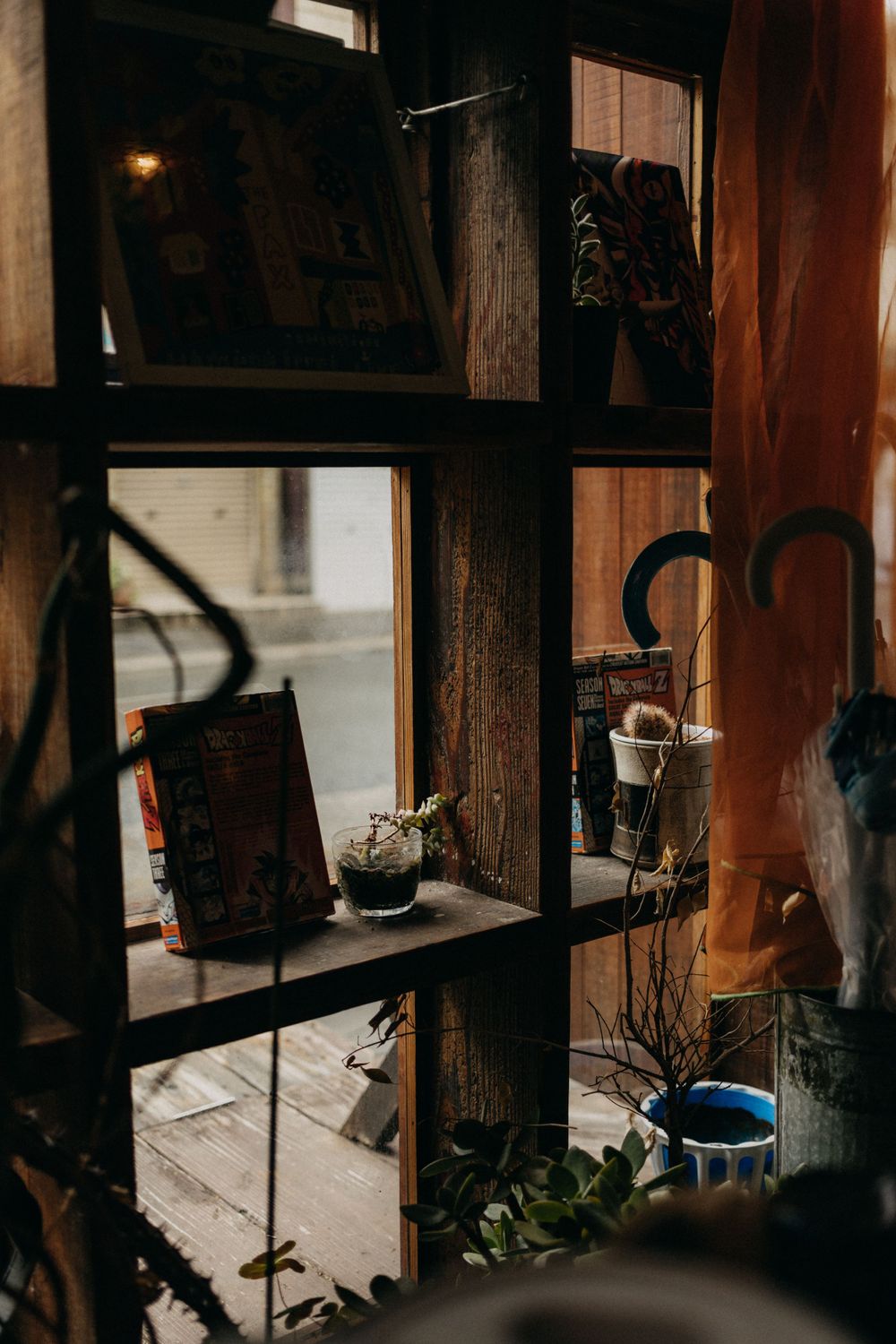 Rustic wooden shelving unit displaying vintage items and plants near a window.
