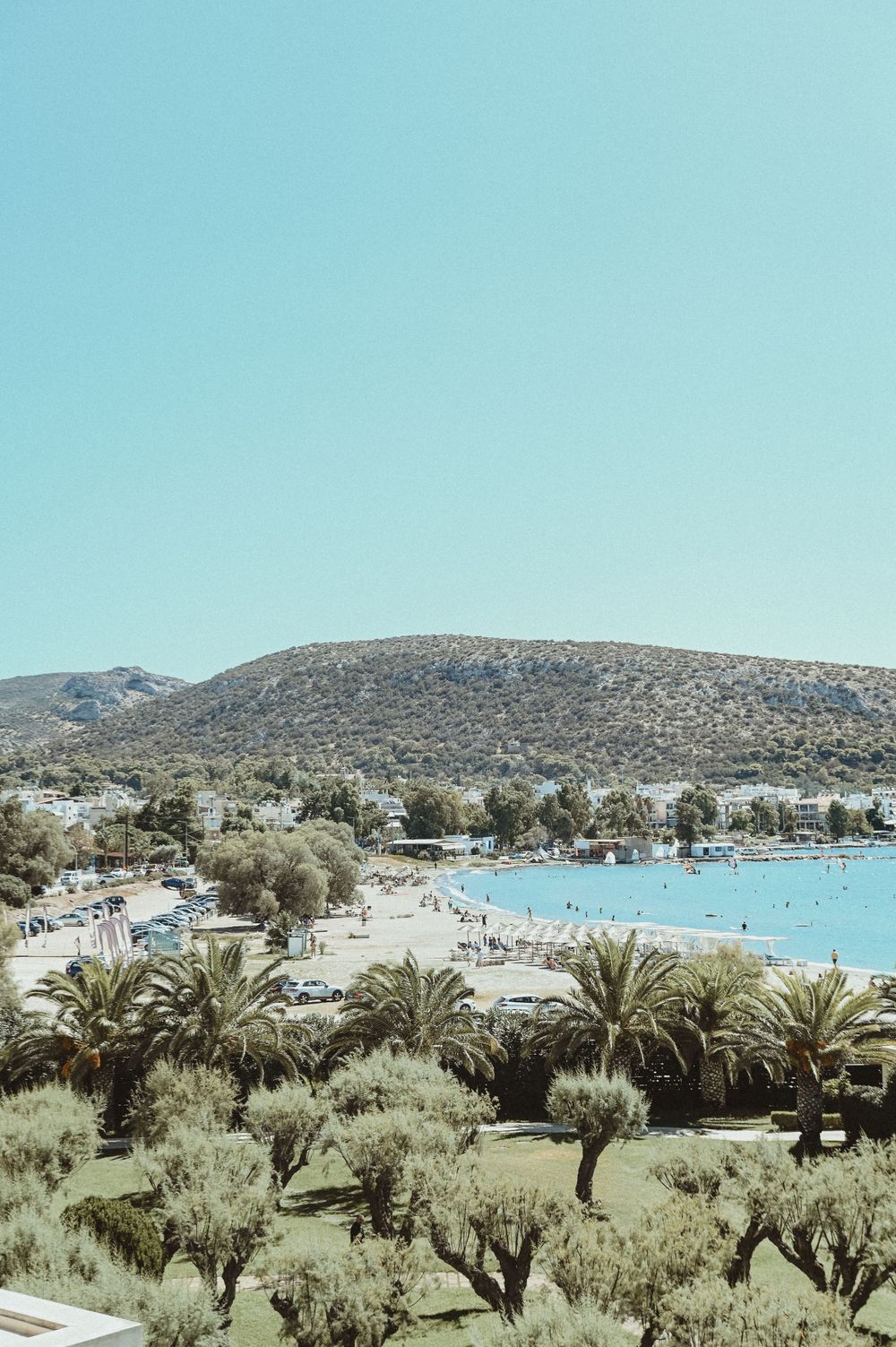 A scenic Mediterranean beach cove with palm trees and olive groves overlooking turquoise waters and rocky hills.