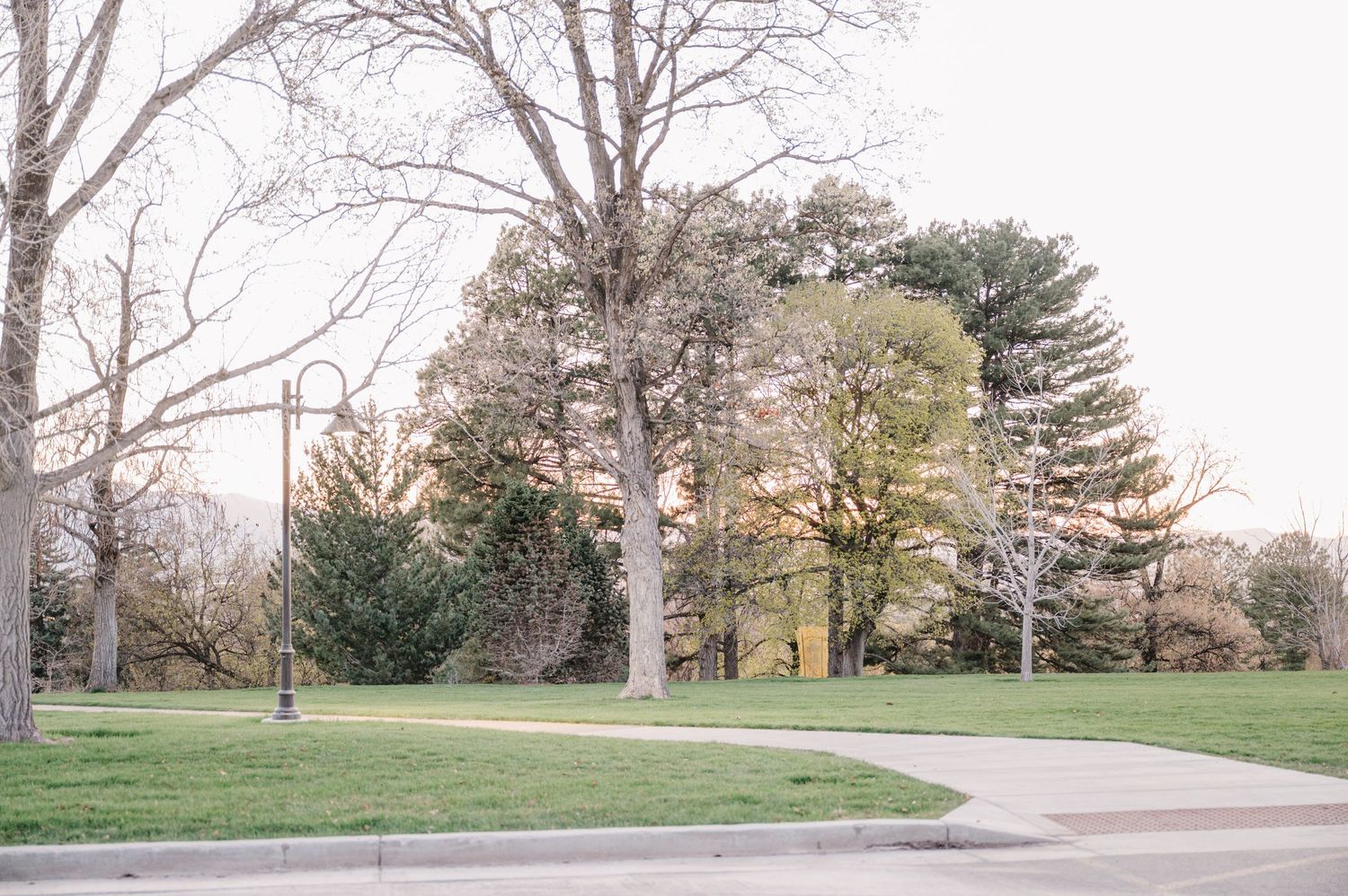 A curved sidewalk path winds through a peaceful park setting with tall bare trees and green lawn in springtime.