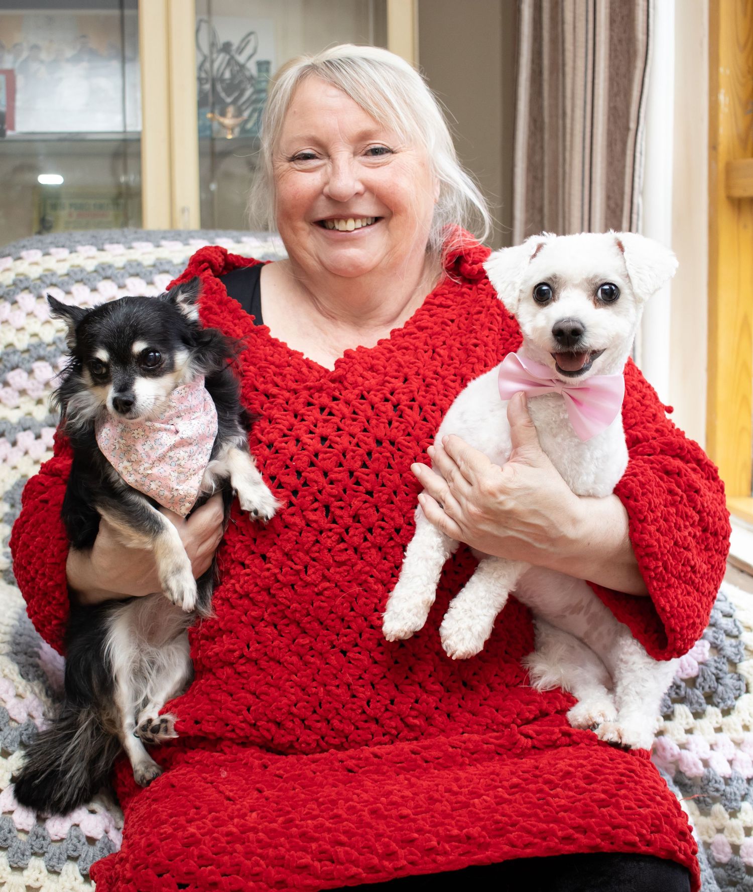 Two adorable dogs, one black and one white, sitting with someone in a bright red knitted sweater on a cozy couch.