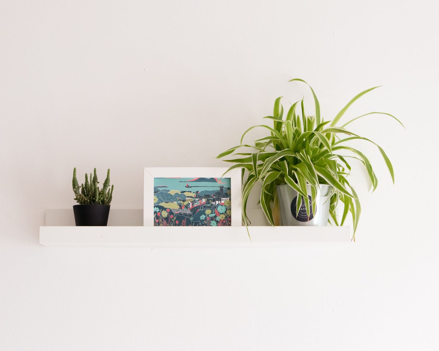 White floating shelves decorated with small potted plants and framed artwork.