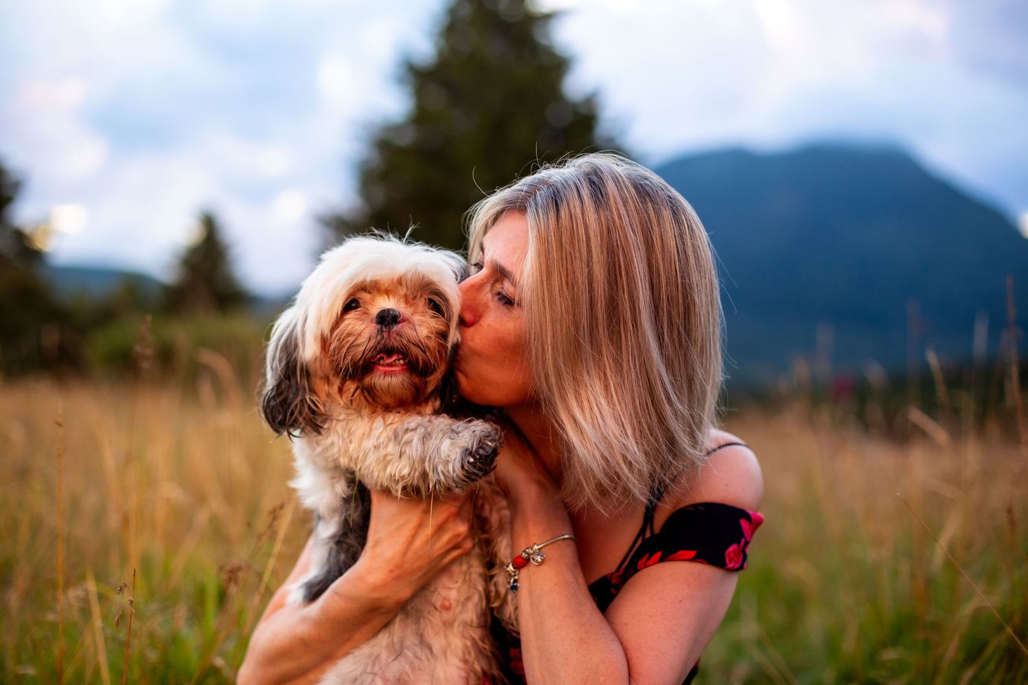 Shooting animal chien avec sa maîtresse.