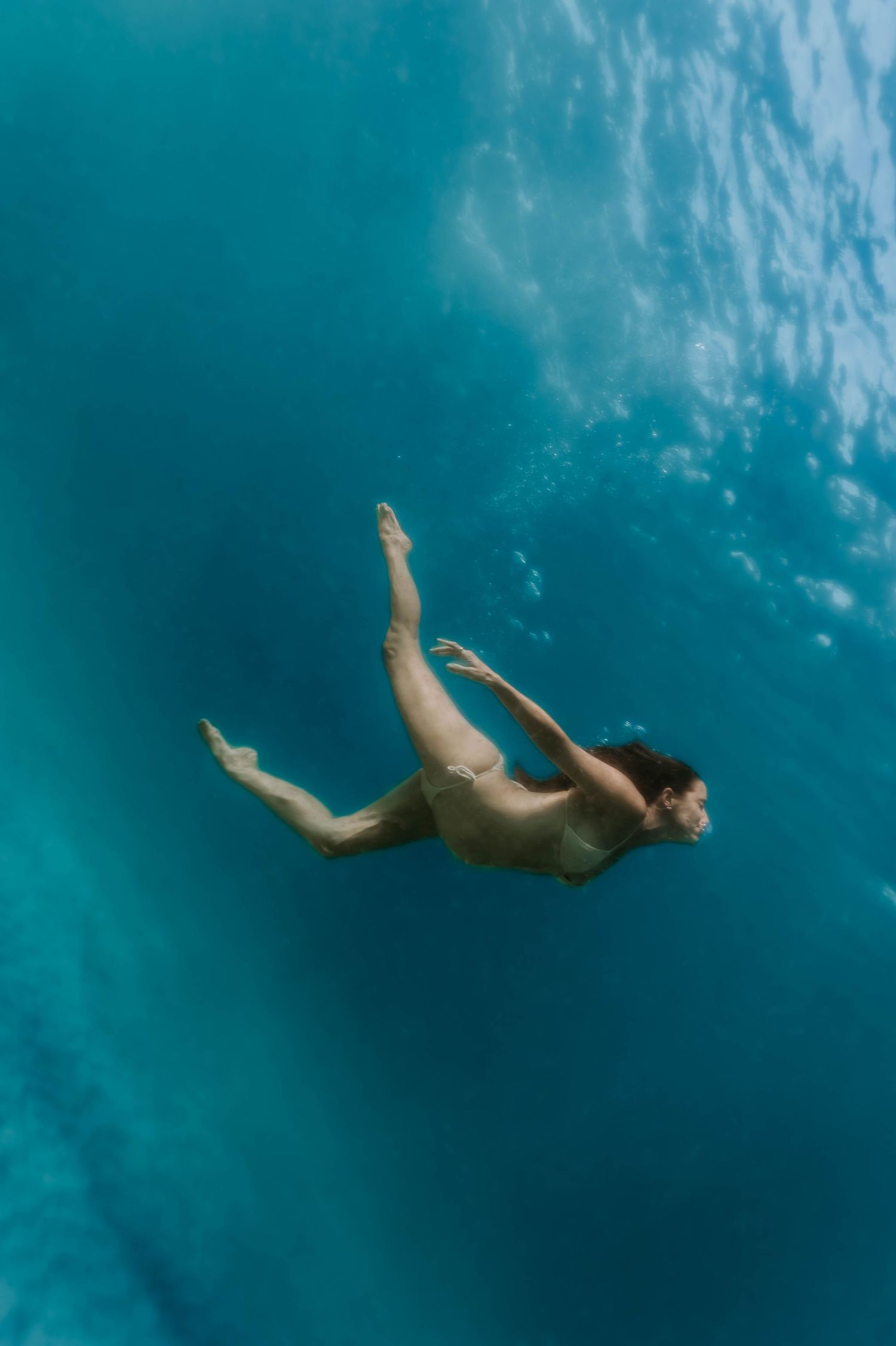 Underwater Photography Sunshine Coast Ocean Photographer