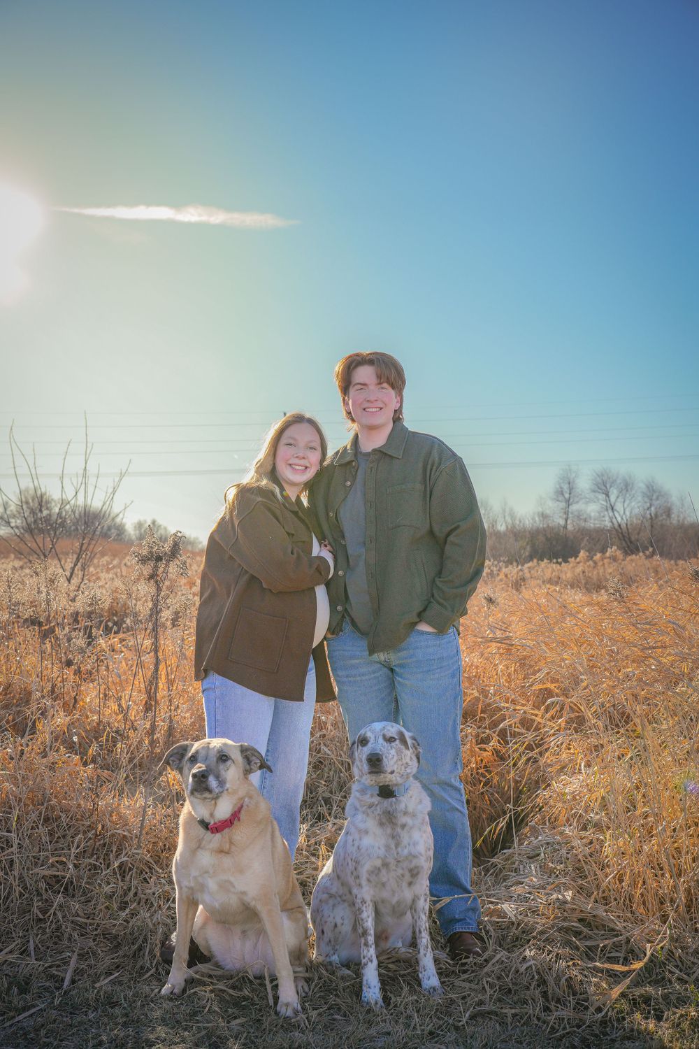 Couple poses with two dogs in field during sunset with bare trees in background.