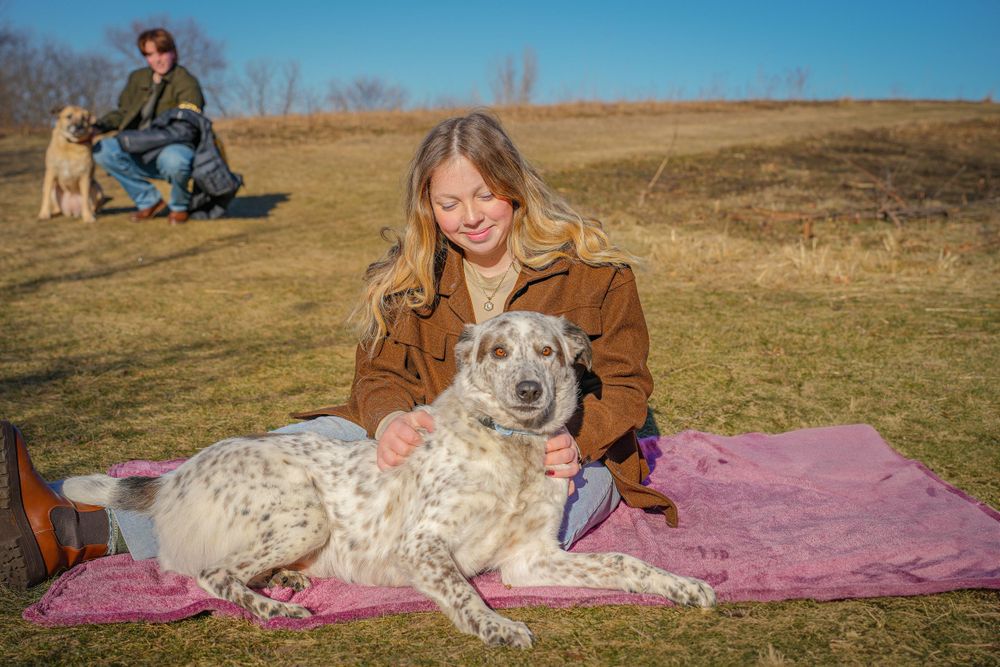 Person and spotted dog relaxing together on pink blanket in grassy field on sunny day.
