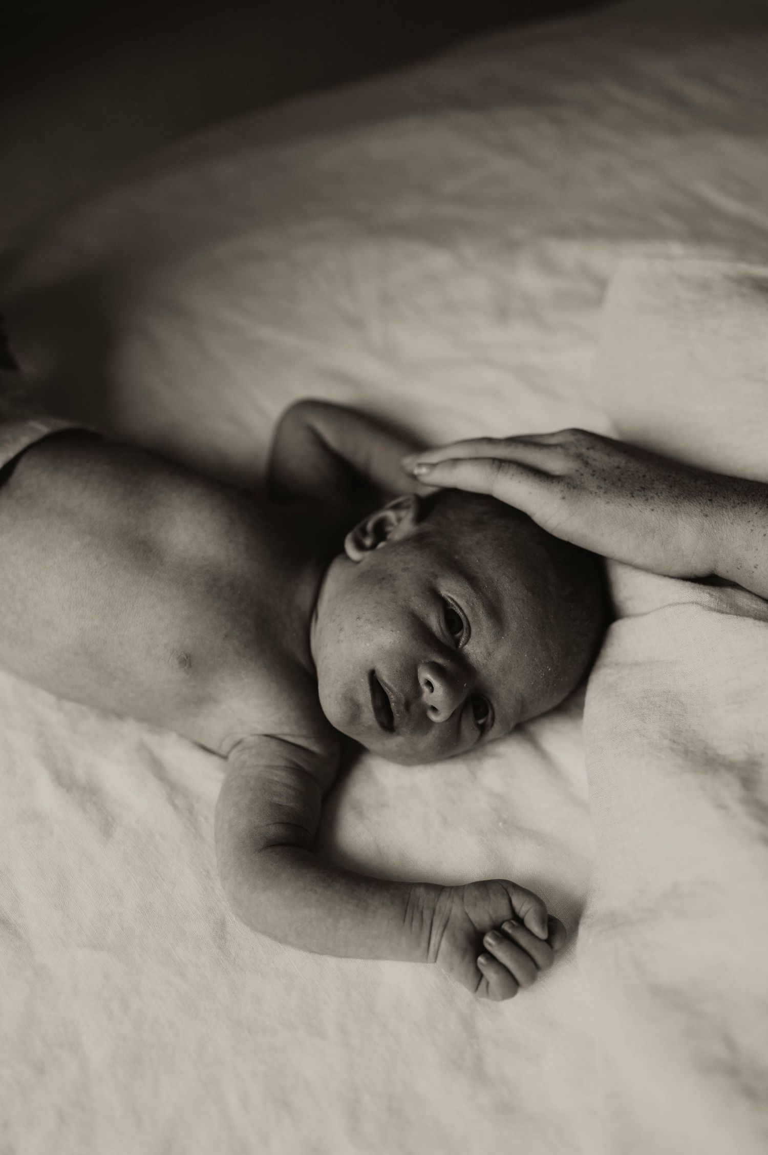 Sunshine Coast Newborn Photography First few days