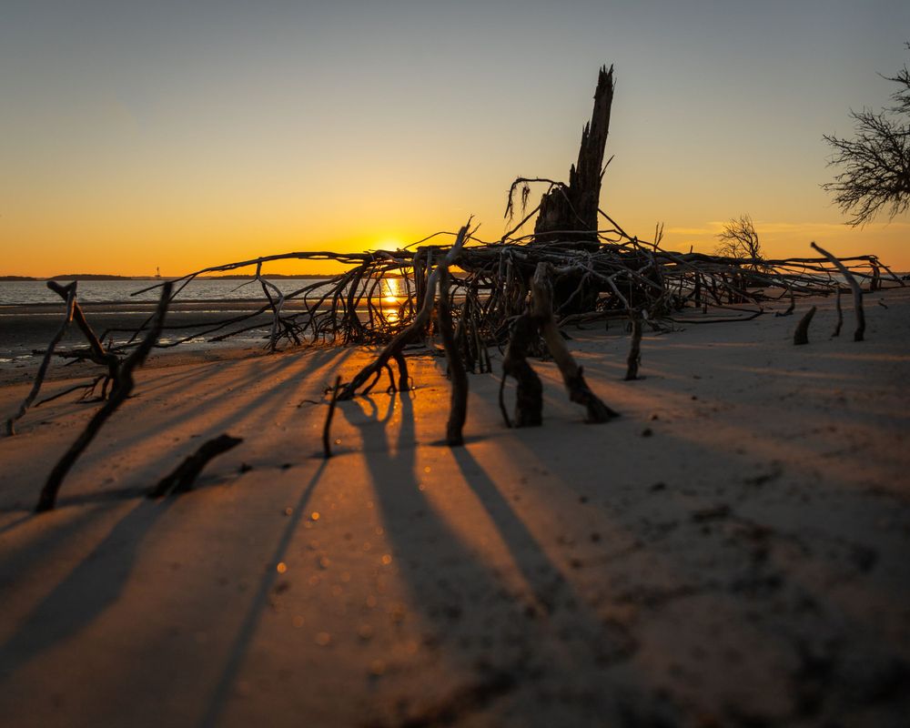 Landscape: Cumberland Island Sunset