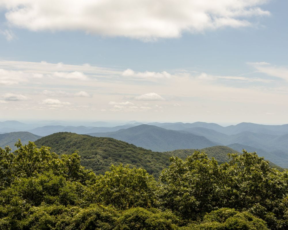 Landscape: Brasstown Bald
