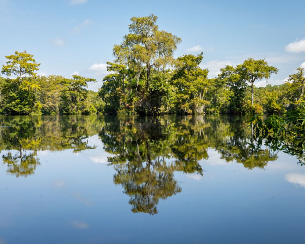 Landscape: Pond Reflection