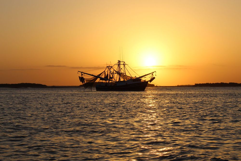 Landscape: Cumberland Sound Shrimp Boat