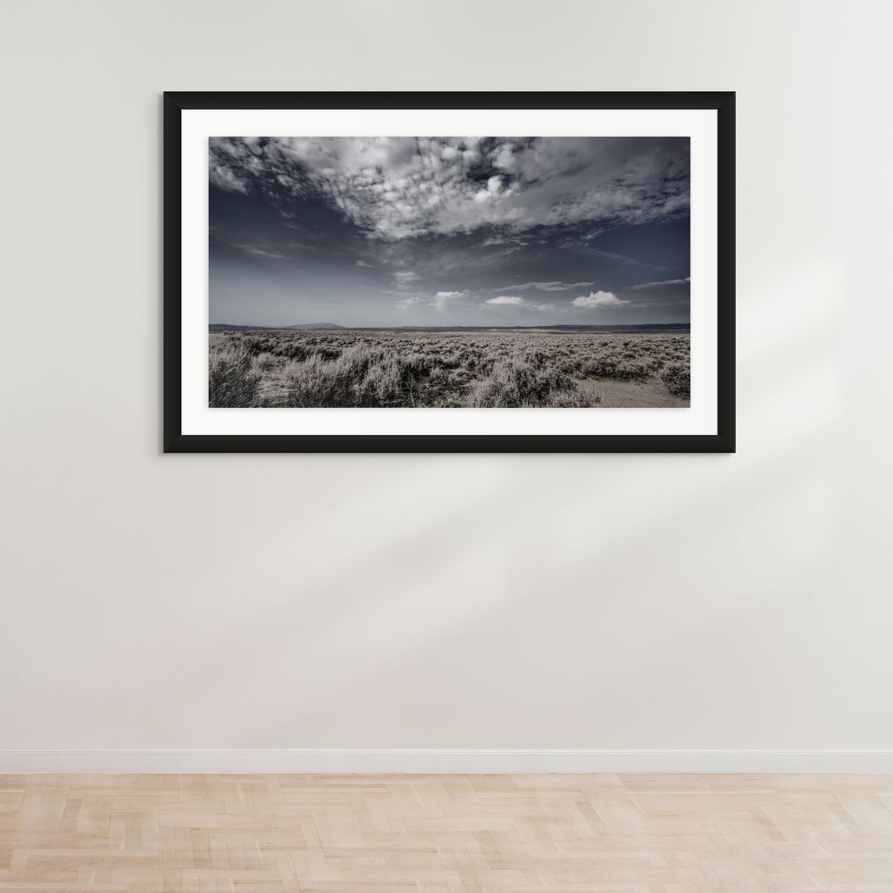 Wide-angle black and white photograph of desert scrubland under dramatic cloudy skies.