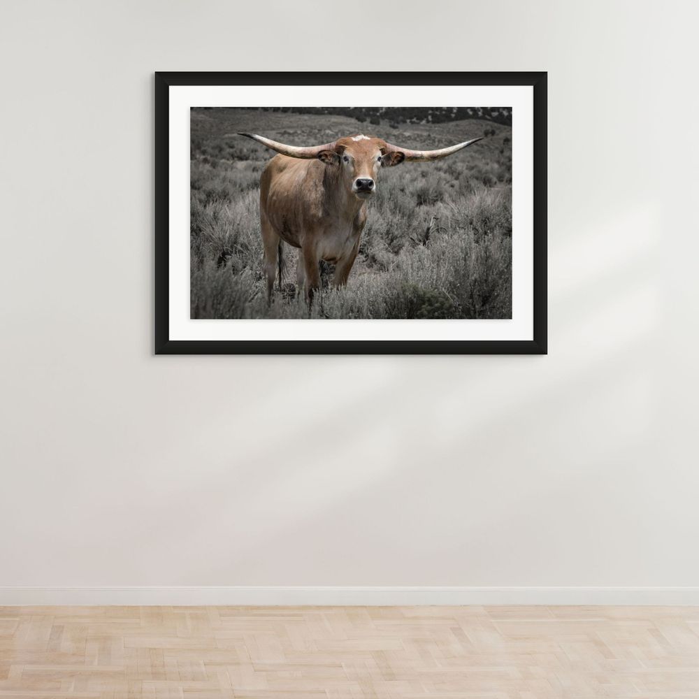 Portrait of a Texas Longhorn steer with impressive horns standing in sage brush.