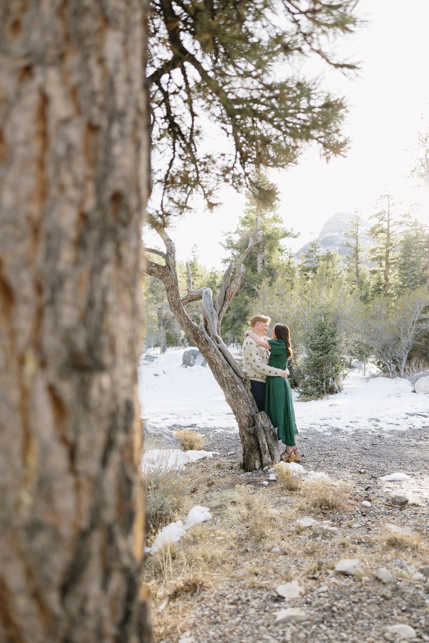 A couple shares a tender moment in front of a large tree trunk with snowy mountains in the background.