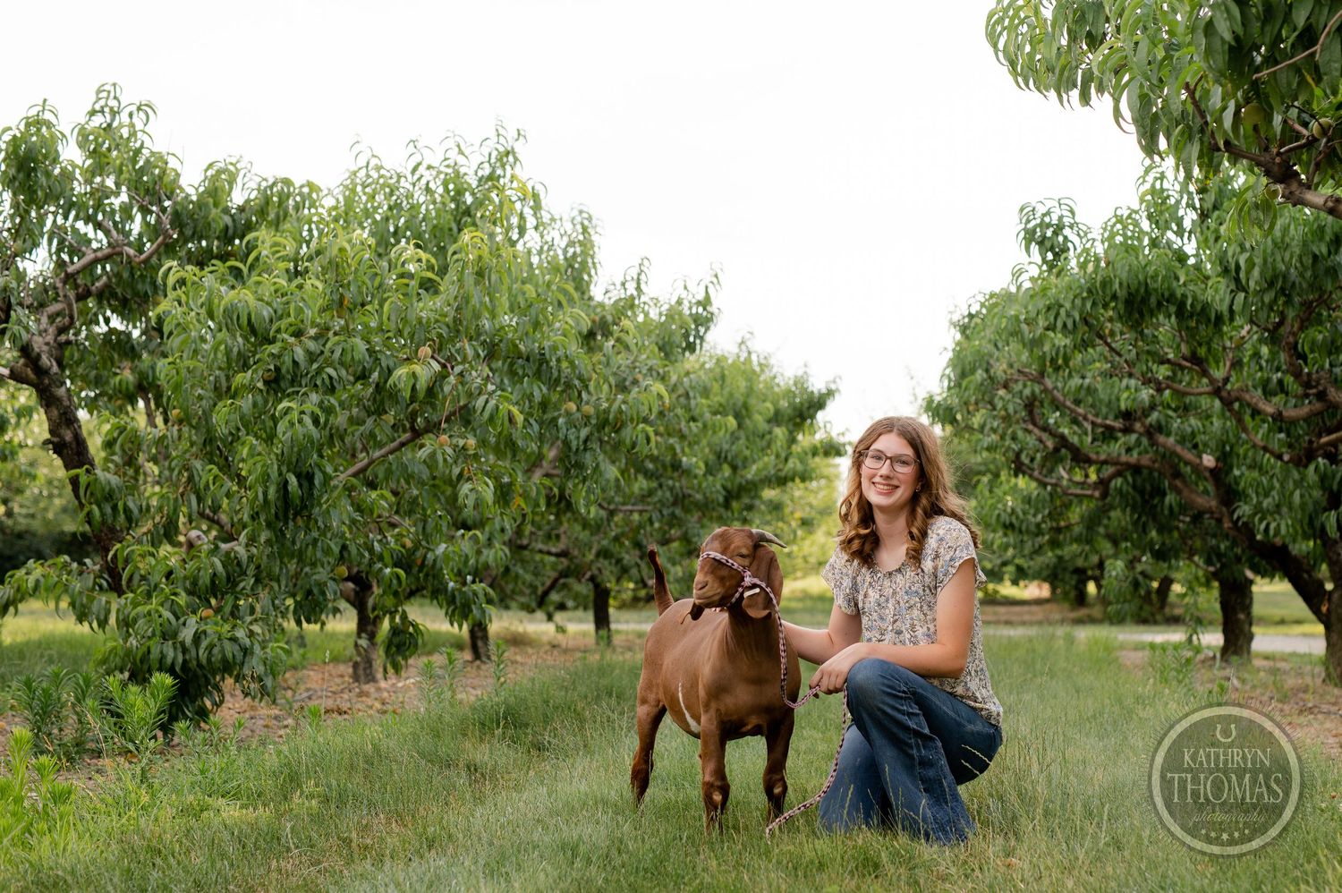 Person kneeling beside brown goat in peaceful orchard setting with green trees.
