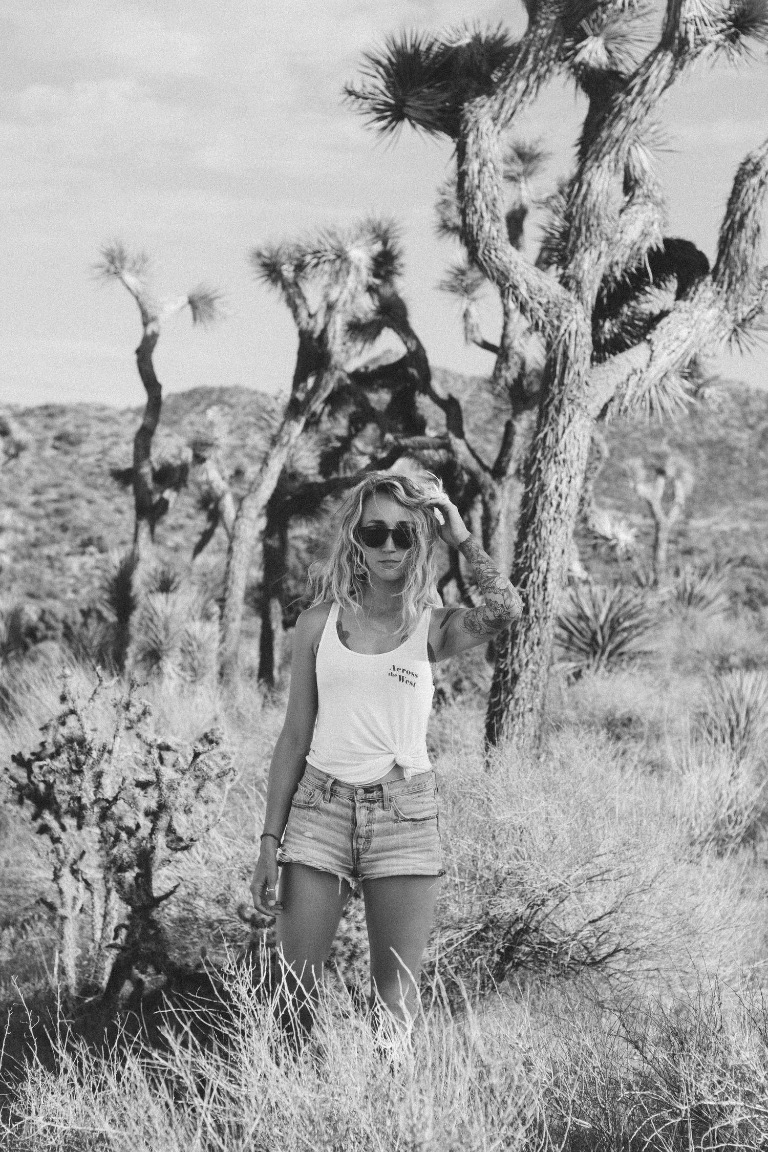 Black and white desert landscape with Joshua trees and desert brush.
