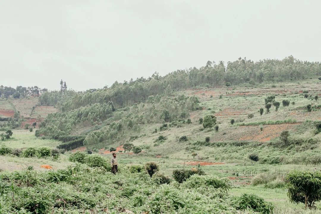 Expansive hillside farmland with scattered crops and farmers, highlighting rural agriculture and landscape.
