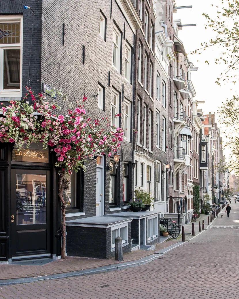Peaceful Amsterdam street with tall brick houses and pink hanging flowers above the pavement