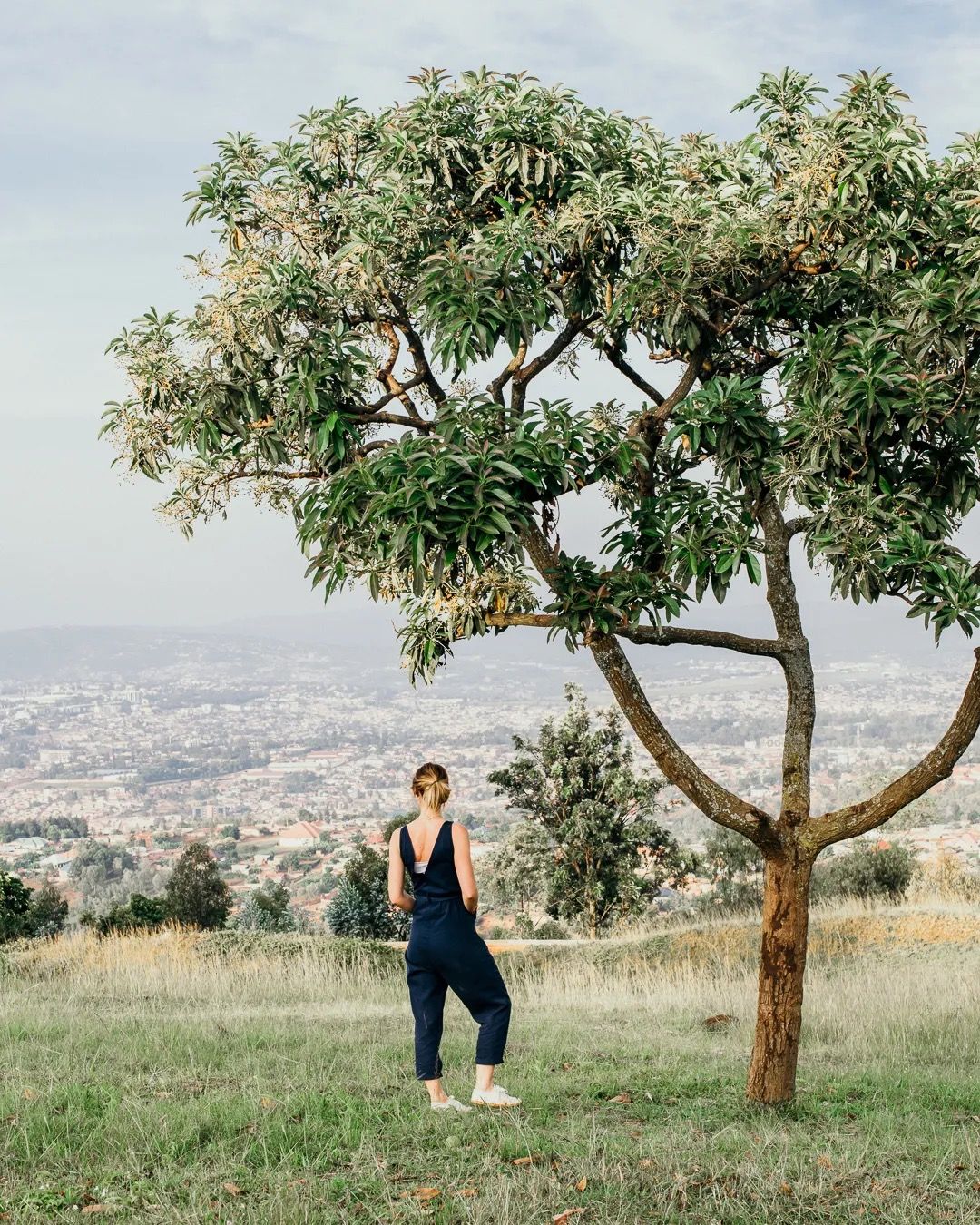 Person stands under a large tree with wide valley views, showing open landscapes and quiet outdoor scenery.