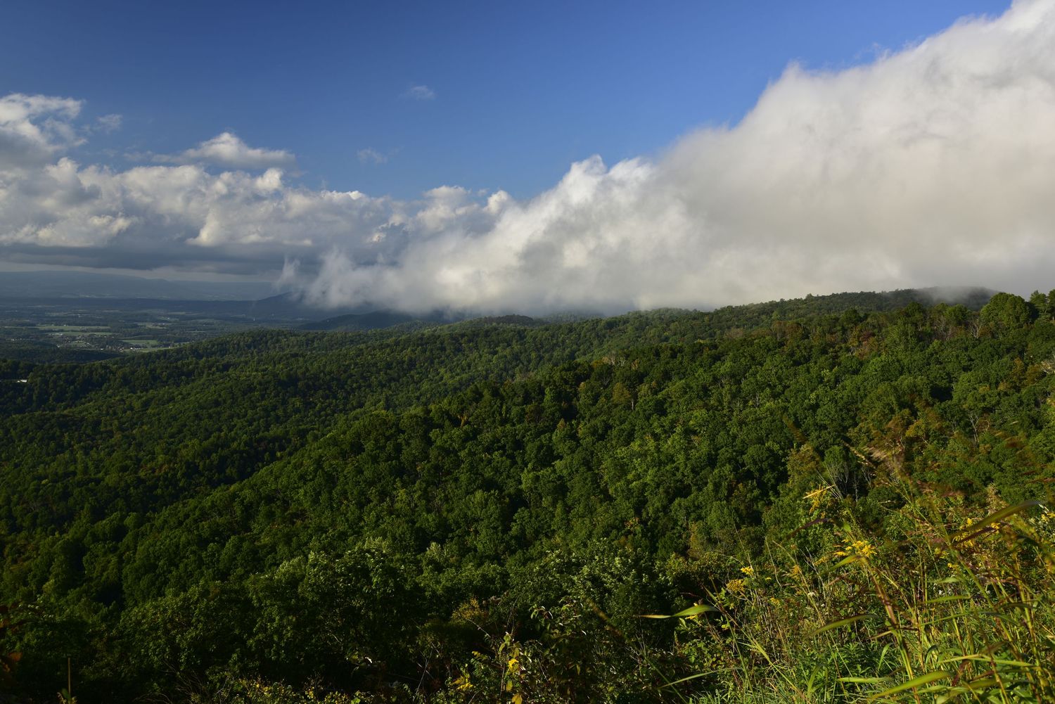 Fog Clouds over the Blue Ridge Mountains of Virginia