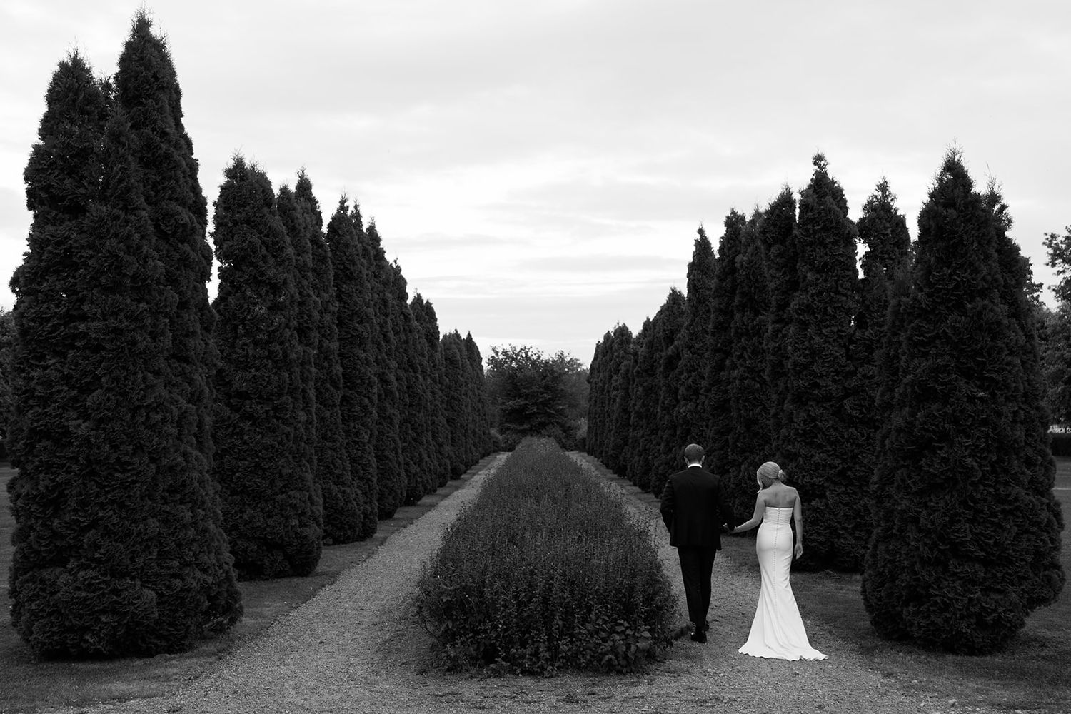 A row of tall evergreen trees lines a path at sunset creating a dramatic silhouette against the sky.