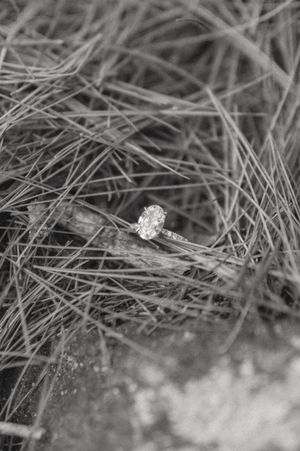 A diamond engagement ring nestled in dry grass captured in black and white.
