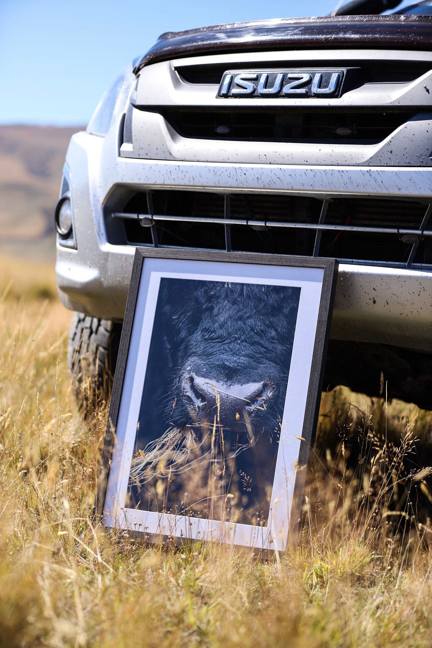 fine-art-print-bull-nose-framed-print-canterbury-photographer
