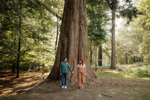 Two people walk together along a forest path beside towering redwood trees on a sunny afternoon.